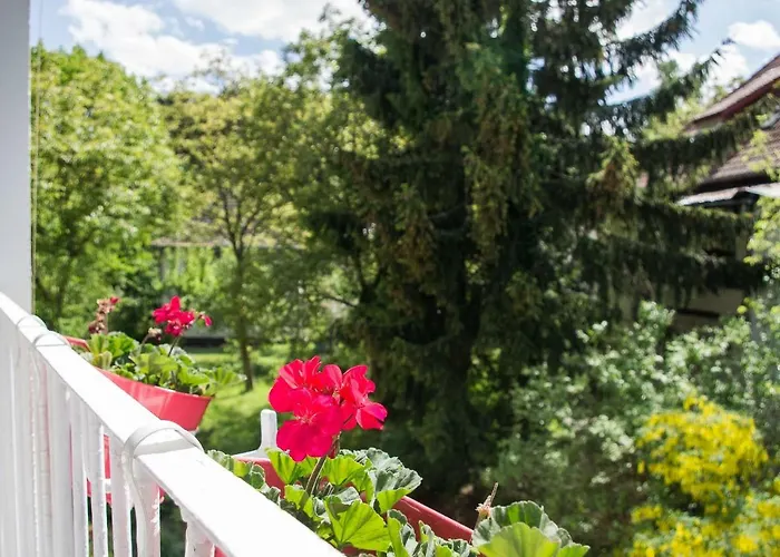 דירה Great In סופוט